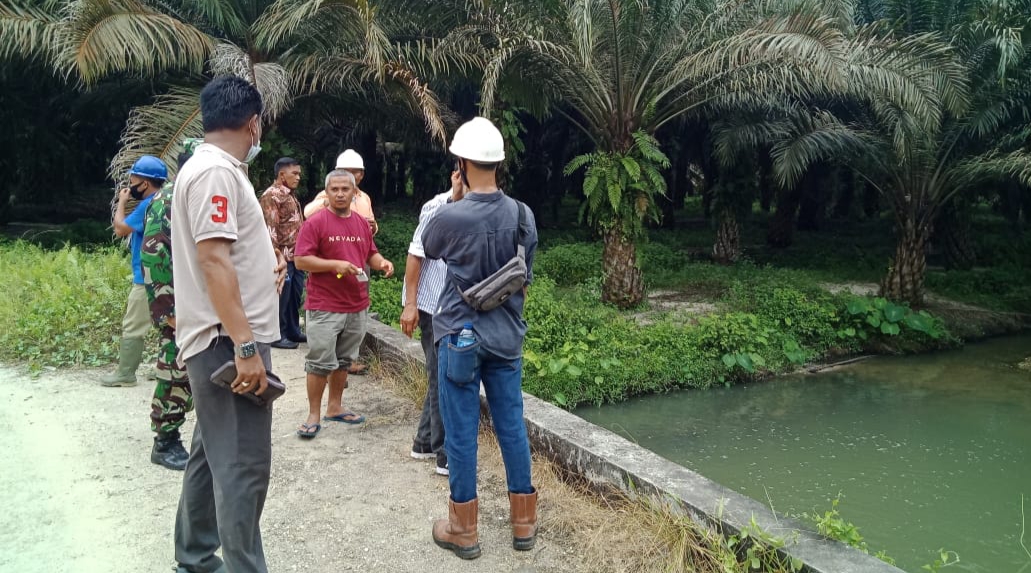 Ditinjau DLH Kuansing, Sungai Bawang Diduga Dicemari PT ASMJ Tiba-tiba Jernih