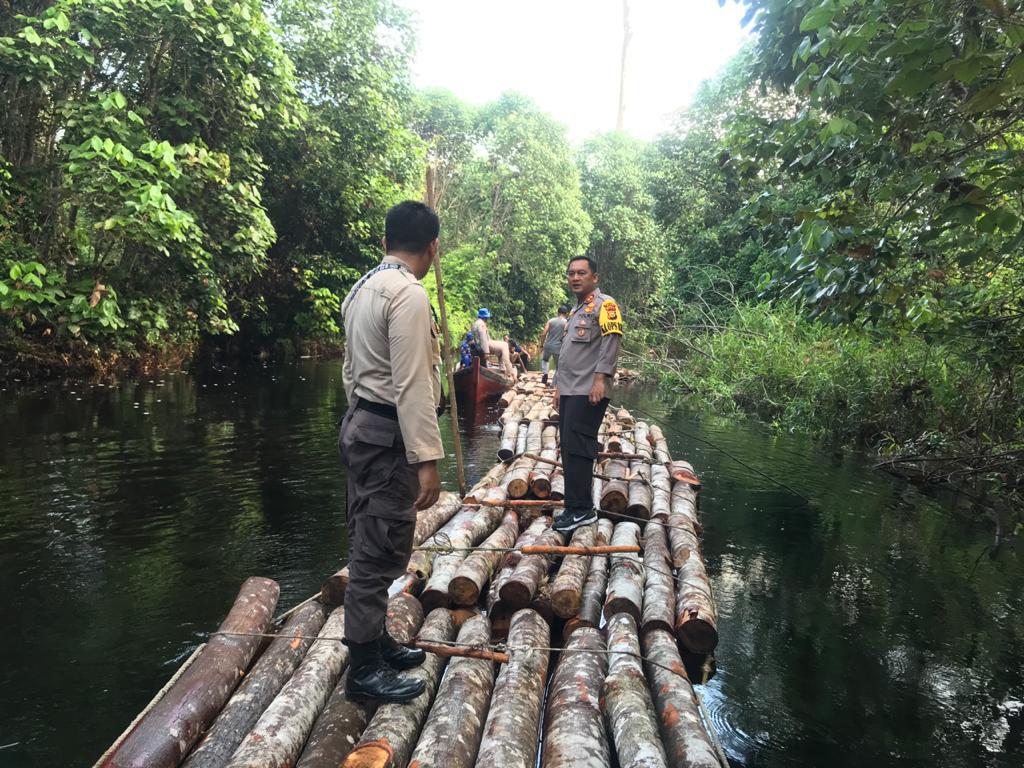 Polres Siak Temukan Ilegal Logging di Kampung Rawa Mekar Jaya