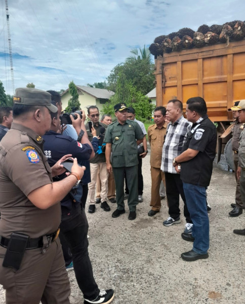 Bupati Kuansing Gagalkan Penjualan Buah Sawit Ilegal ke PT GSL, Nerdi : Tutup Pabriknya