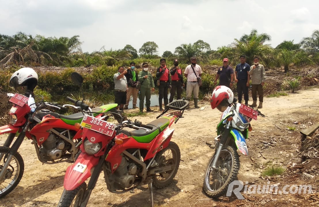 Cegah Karhutla, Manggala Agni Daops Rengat dan BKSD Riau Cek PT Tesso Indah