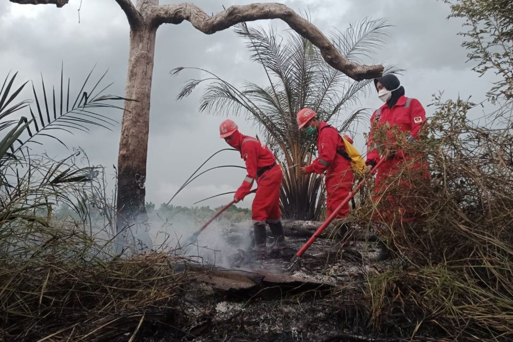 Luas Karhutla di Riau Turun 12,09 Persen, Bengkalis Masih Tertinggi