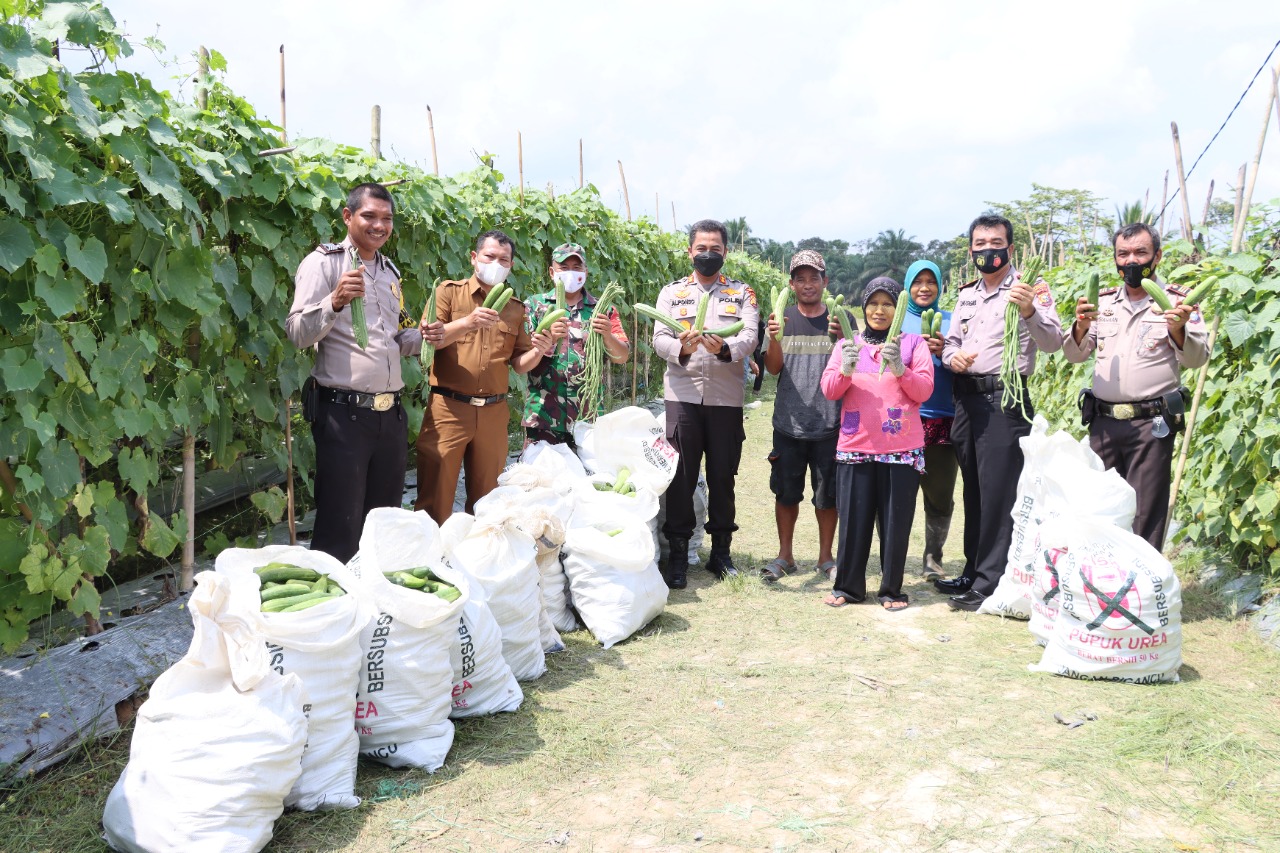 Sukseskan Program Kampung Tangguh Nusantara, Kapolres Inhu Borong Hasil Panen Warga